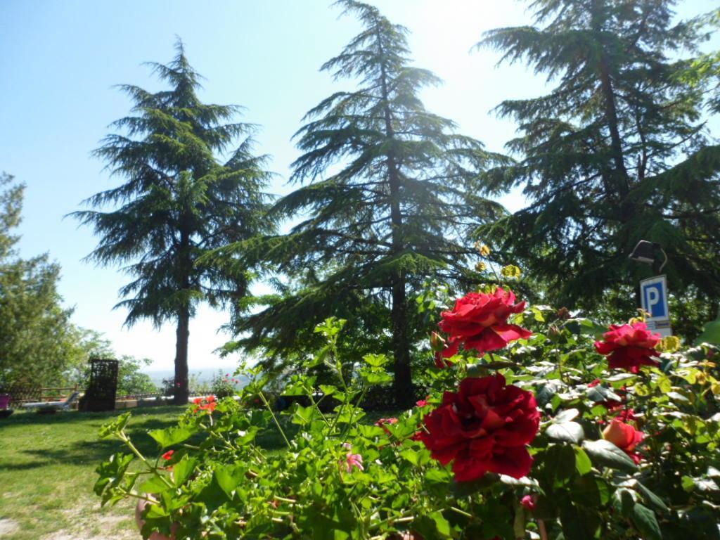 Agriturismo La Quiete Roncofreddo Exterior foto